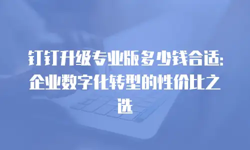钉钉升级专业版多少钱合适：企业数字化转型的性价比之选