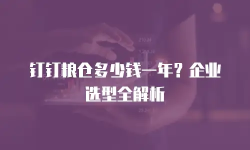 钉钉粮仓多少钱一年？企业选型全解析