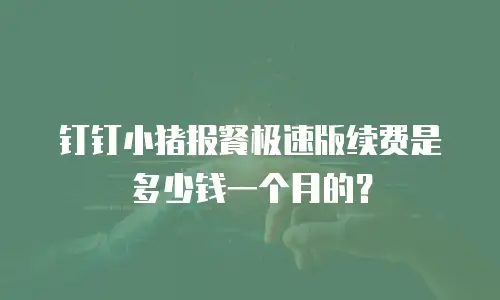 钉钉小猪报餐极速版续费是多少钱一个月的？