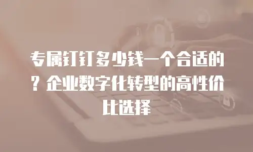 专属钉钉多少钱一个合适的？企业数字化转型的高性价比选择