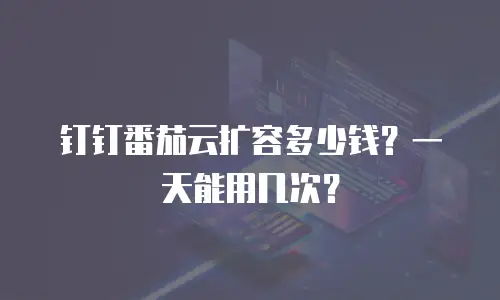 钉钉番茄云扩容多少钱？一天能用几次？