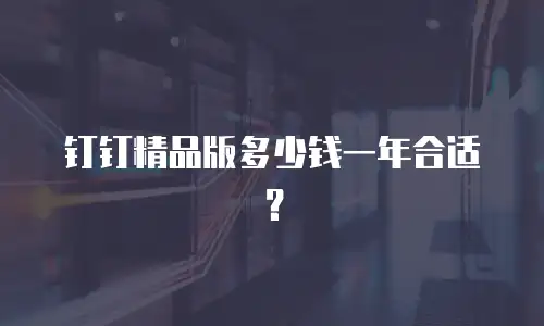 钉钉精品版多少钱一年合适？