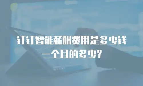 钉钉智能薪酬费用是多少钱一个月的多少？