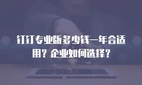 钉钉专业版多少钱一年合适用？企业如何选择？