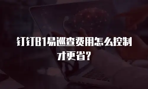 钉钉B1易巡查费用怎么控制才更省？