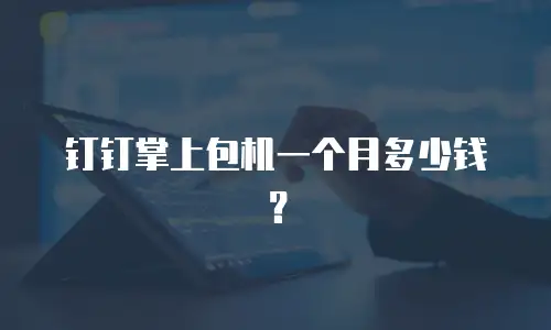 钉钉掌上包机一个月多少钱？