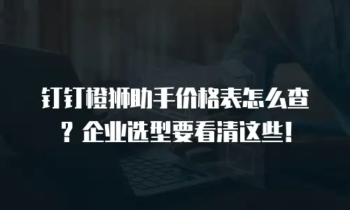 钉钉橙狮助手价格表怎么查？企业选型要看清这些！