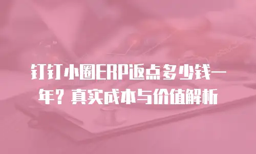 钉钉小圈ERP返点多少钱一年？真实成本与价值解析