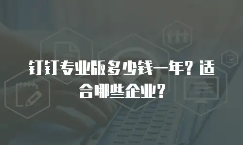 钉钉专业版多少钱一年？适合哪些企业？