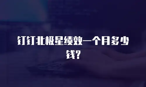 钉钉北极星绩效一个月多少钱？