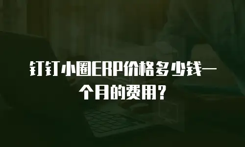 钉钉小圈ERP价格多少钱一个月的费用？