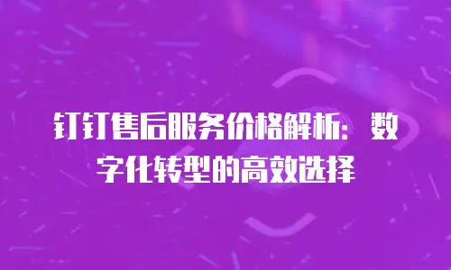 钉钉售后服务价格解析：数字化转型的高效选择