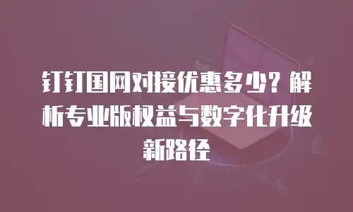 钉钉国网对接优惠多少？解析专业版权益与数字化升级新路径