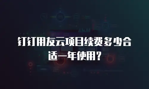 钉钉用友云项目续费多少合适一年使用？