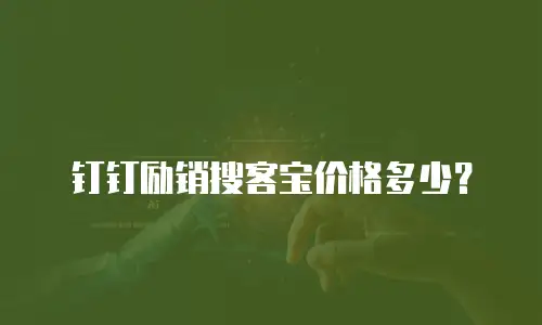 钉钉励销搜客宝价格多少？