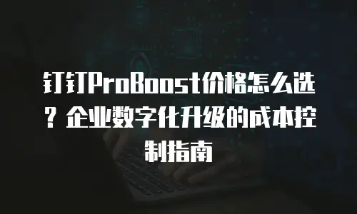 钉钉ProBoost价格怎么选？企业数字化升级的成本控制指南