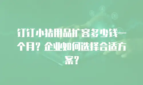 钉钉小猪用品扩容多少钱一个月？企业如何选择合适方案？