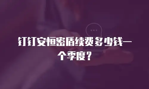 钉钉安恒密盾续费多少钱一个季度？