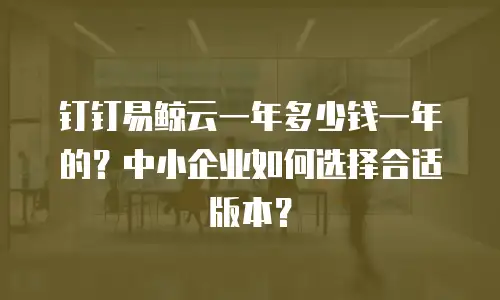 钉钉易鲸云一年多少钱一年的？中小企业如何选择合适版本？
