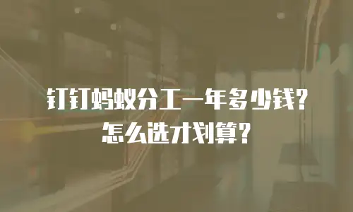 钉钉蚂蚁分工一年多少钱？怎么选才划算？
