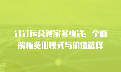 钉钉运营管家多少钱：全面解析费用模式与价值选择