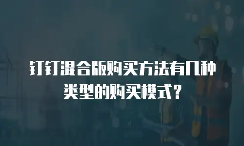 钉钉混合版购买方法有几种类型的购买模式？