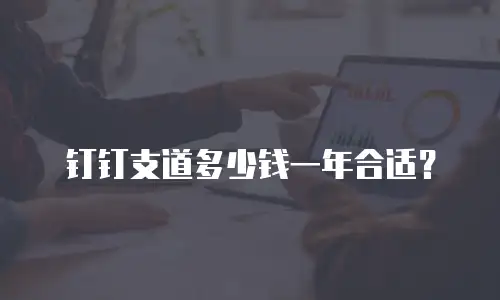 钉钉支道多少钱一年合适？