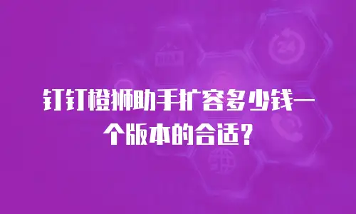钉钉橙狮助手扩容多少钱一个版本的合适？