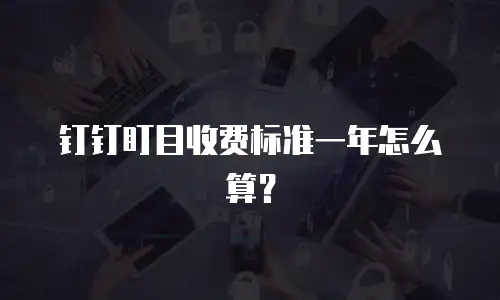 钉钉盯目收费标准一年怎么算？