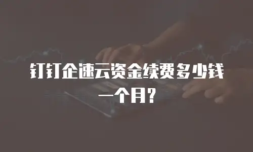 钉钉企速云资金续费多少钱一个月？