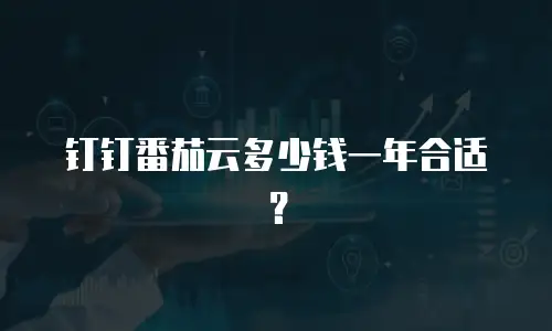 钉钉番茄云多少钱一年合适？