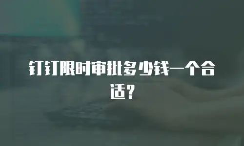 钉钉限时审批多少钱一个合适？