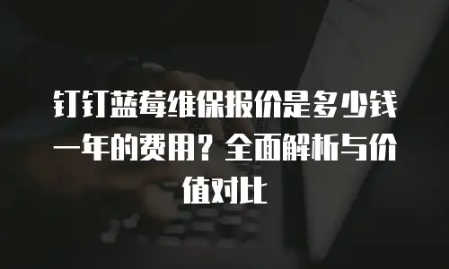 钉钉蓝莓维保报价是多少钱一年的费用？全面解析与价值对比