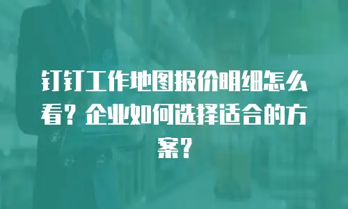 钉钉工作地图报价明细怎么看？企业如何选择适合的方案？