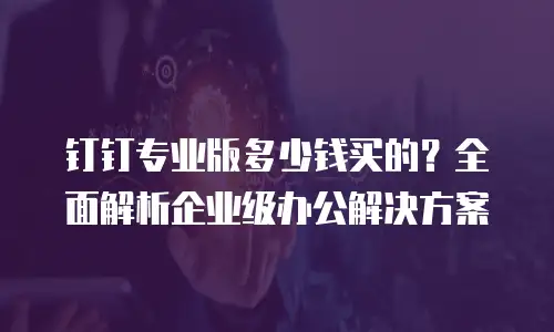 钉钉专业版多少钱买的？全面解析企业级办公解决方案