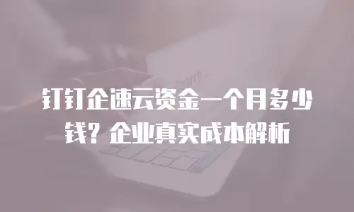 钉钉企速云资金一个月多少钱？企业真实成本解析