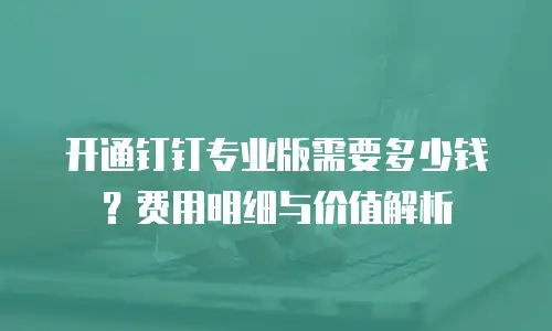 开通钉钉专业版需要多少钱？费用明细与价值解析