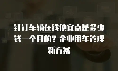 钉钉车辆在线便宜点是多少钱一个月的？企业用车管理新方案