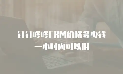 钉钉咚咚CRM价格多少钱 一小时内可以用
