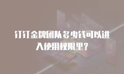 钉钉金牌团队多少钱可以进入使用权限里？
