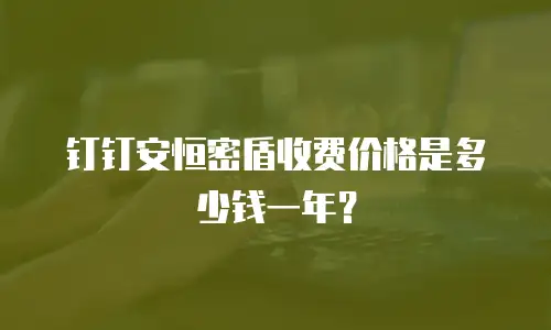 钉钉安恒密盾收费价格是多少钱一年？