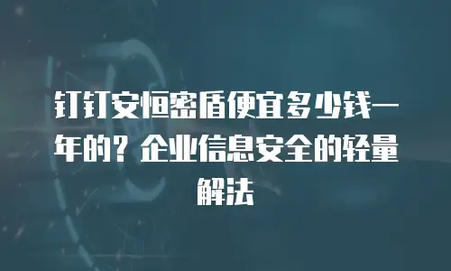 钉钉安恒密盾便宜多少钱一年的？企业信息安全的轻量解法