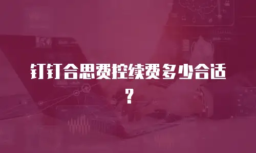 钉钉合思费控续费多少合适？
