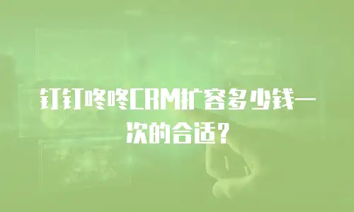 钉钉咚咚CRM扩容多少钱一次的合适？