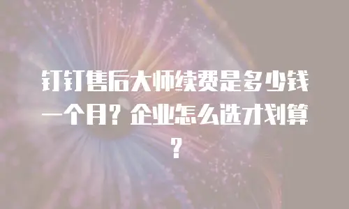 钉钉售后大师续费是多少钱一个月？企业怎么选才划算？
