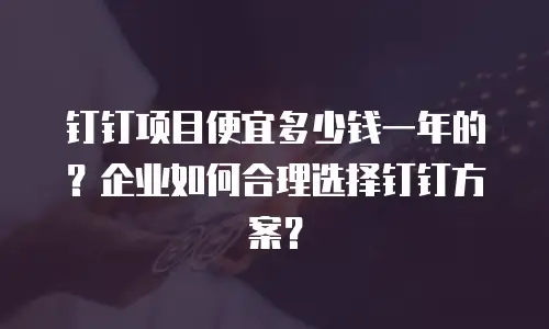 钉钉项目便宜多少钱一年的？企业如何合理选择钉钉方案？