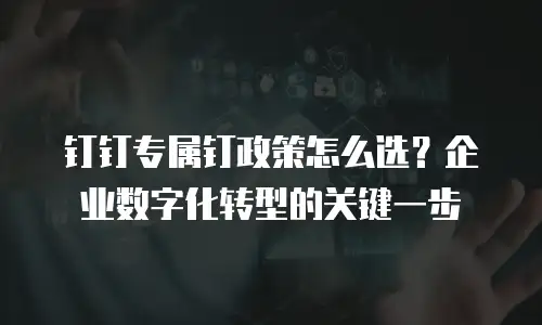 钉钉专属钉政策怎么选？企业数字化转型的关键一步