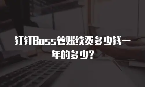 钉钉Boss管账续费多少钱一年的多少？
