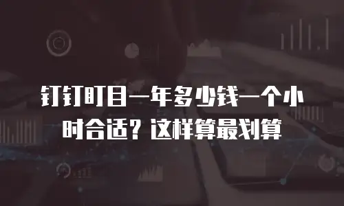 钉钉盯目一年多少钱一个小时合适？这样算最划算