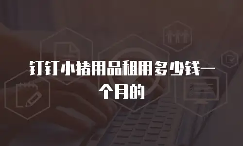 钉钉小猪用品租用多少钱一个月的